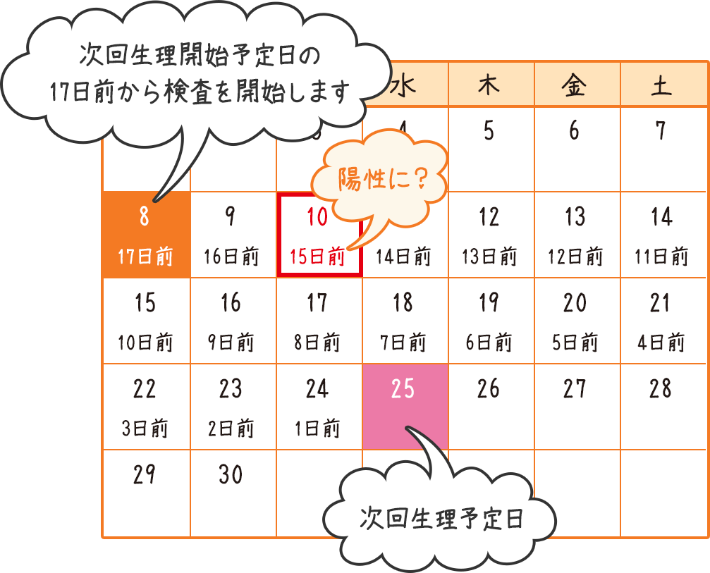 次回生理開始予定日の17日前から検査を開始します