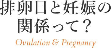 排卵日と妊娠の関係って？